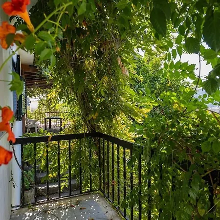 Casa Dona Aninhas - Douro *