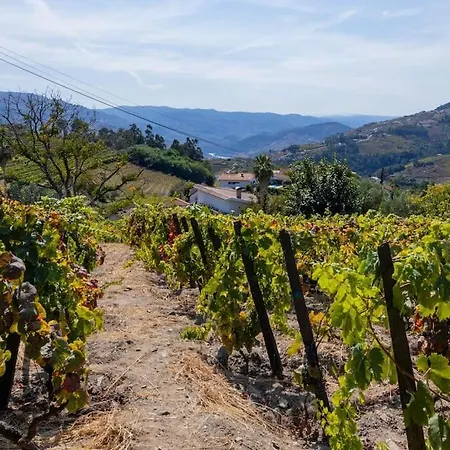 Casa Dona Aninhas - Douro Holiday home
