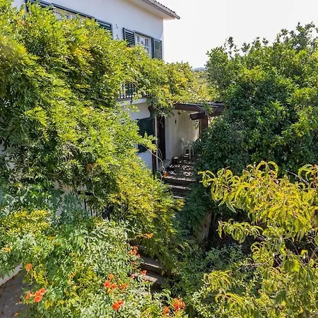 Holiday home Casa Dona Aninhas - Douro Moura Morta