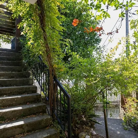 Casa Dona Aninhas - Douro Moura Morta