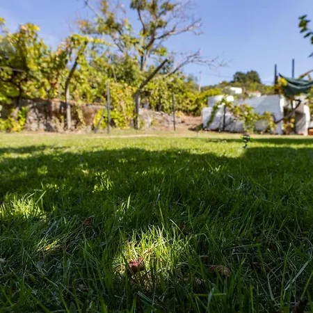 Casa Dona Aninhas - Douro Holiday home *