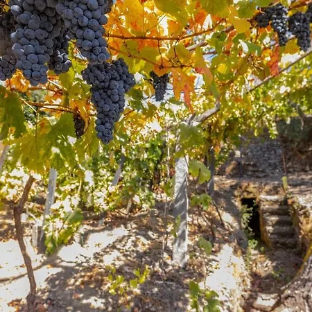 Casa Dona Aninhas - Douro *