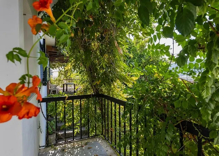 Casa Dona Aninhas - Douro *