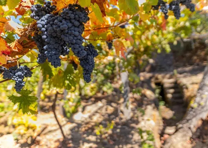 Casa Dona Aninhas - Douro