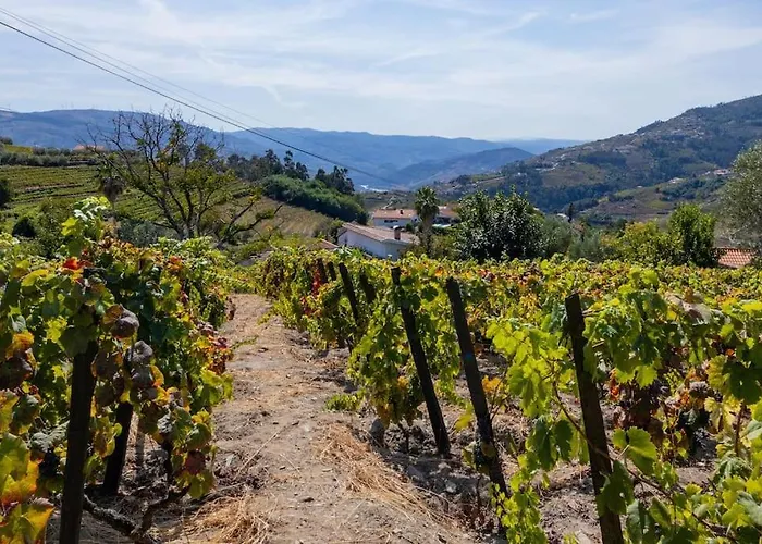 Casa Dona Aninhas - Douro Semesterbostad
