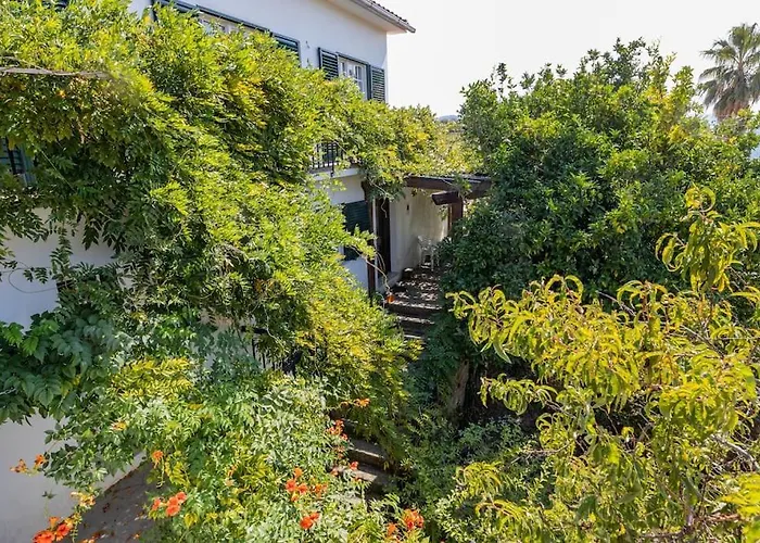 Semesterbostad Casa Dona Aninhas - Douro Moura Morta