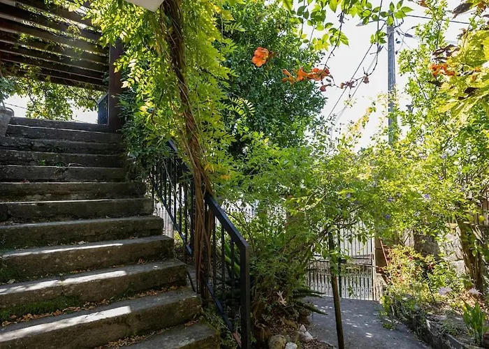 Casa Dona Aninhas - Douro Moura Morta