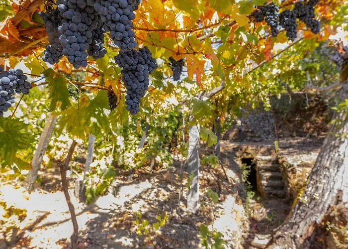 Casa Dona Aninhas - Douro *